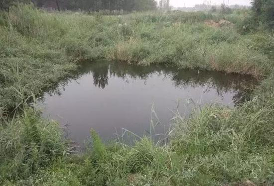 家属称在该水坑找到李文星尸体。