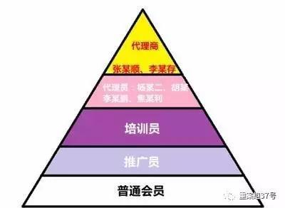▲“蝶贝蕾”传销组织结构