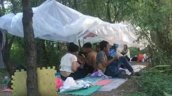 　　▲8月4日，静海曹官庄村北枣树林深处，十多名传销人员搭着简易遮篷，在野外“躲负面”，即逃避打击。