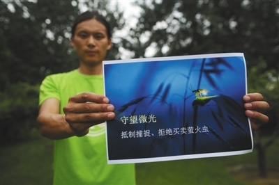 　　8月22日，环保组织萤火虫生态线志愿者谷轩在房山“天开花海”景区展示保护萤火虫的海报，并向市民宣传保护萤火虫的知识。