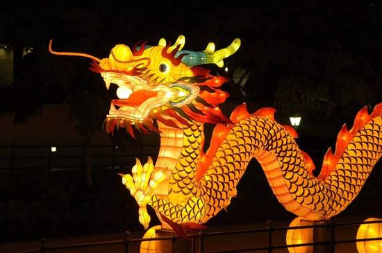  ▲加拿大校园迎接龙年活动 （图片来源：卡尔加里大学）