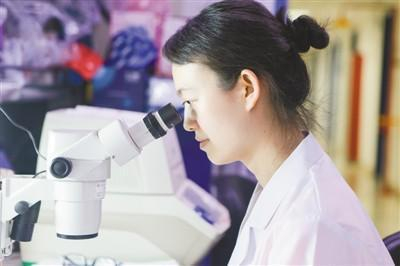 工作中的刘颖。本报记者&nbsp;赵永新摄