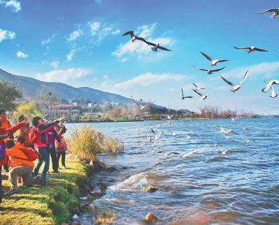 西昌市邛海湿地享誉“中国高原最美湿地”。王宪良摄