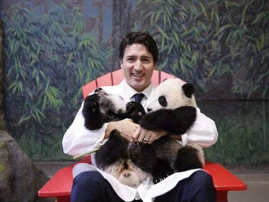 怀抱两只熊猫宝宝的加拿大总理特鲁多。