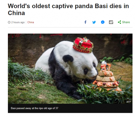 BBC网站报道截图