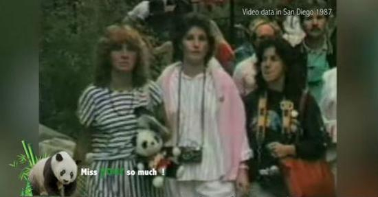 1987年巴斯访问美国圣地亚哥市时，吸引了250万粉丝疯狂排队。