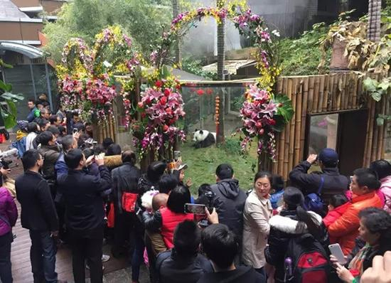 巴斯37岁生日 海都记者 林丹 摄