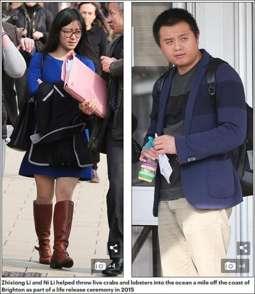 《每日邮报》报道截图