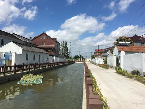 青浦区横五河整治前后对比图。 本文图均为上观新闻 图