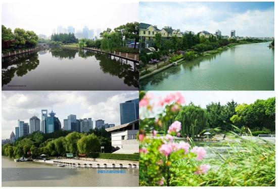 张家浜不同河段的护岸不尽相同