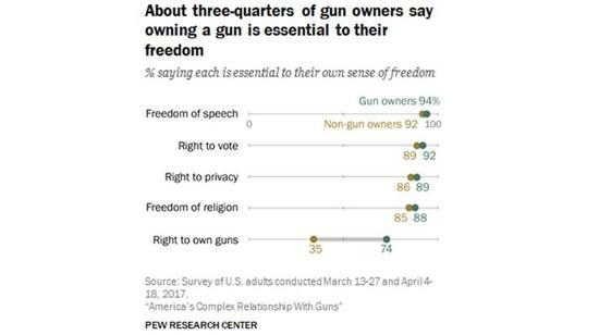 图表3： &nbsp;四分之三有枪人士称拥枪对自由至关重要