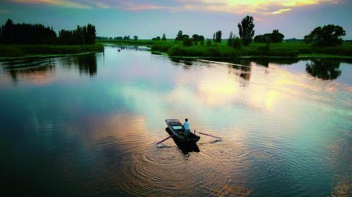 白洋淀风光。摄影 贺友顺