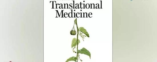 ▲新京报“动新闻（ID：xjbdxw）”视频截图