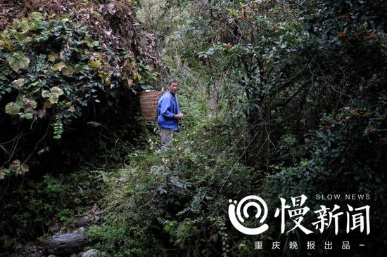 山脚下，老周背着背篓笑着对我们说，你们要做好心理准备哦