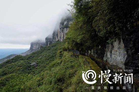 不知名的水渠穿过云雾弥漫的金佛山