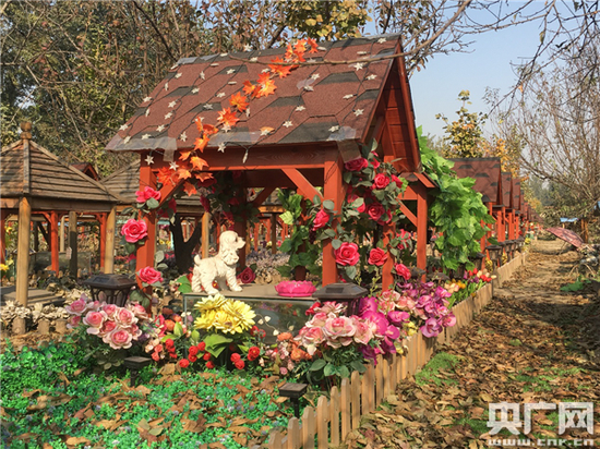 一块价值近6000元的宠物墓地