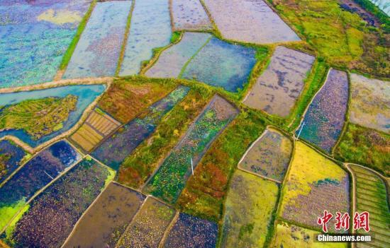 资料图：农田。 欧阳常海 摄