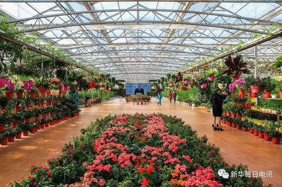 九丰农业博览园