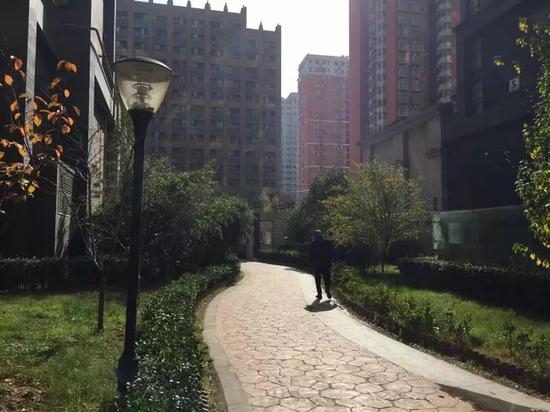 郑州金水区事发小区，一位老人在散步。新京报记者陶若谷 摄