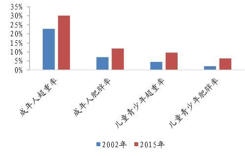 数据来源（公开资料整理）