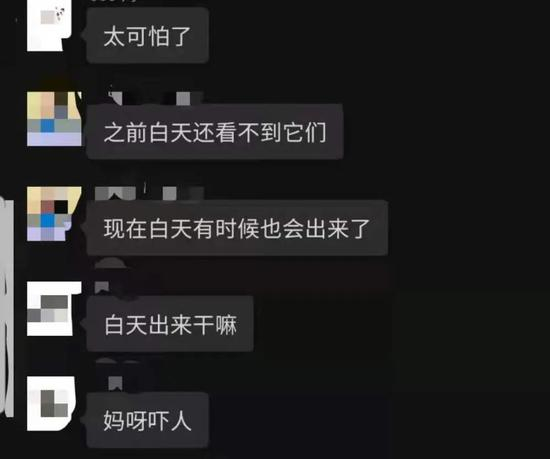 △蔷薇九里业主在微信群讨论发现貉的踪迹。