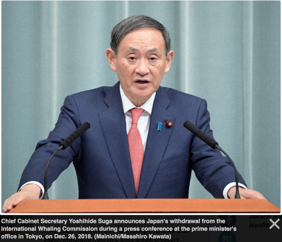 菅义伟。/ 日本每日新闻社网站截图