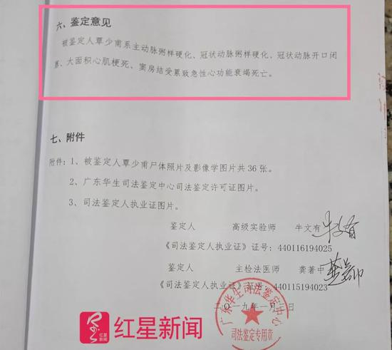 ▲相关司法鉴定意见书&nbsp; &nbsp; 图据红星新闻