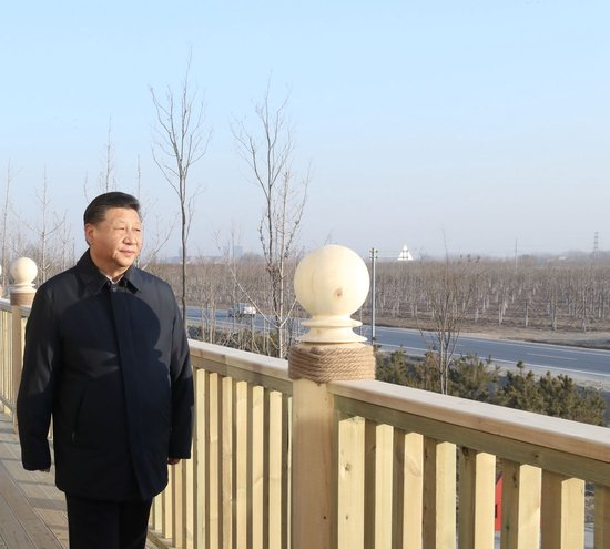 2019年1月16日，习近平总书记在河北雄安新区&ldquo;千年秀林&rdquo;大清河片林一区造林区域远眺林区全貌。