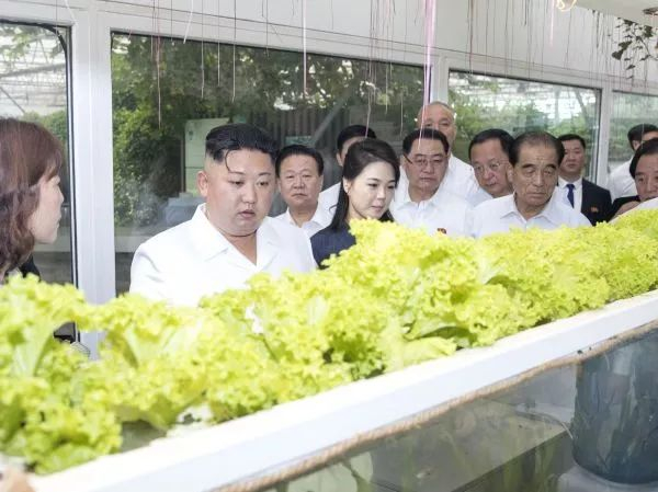 ▲资料图片：2018年6月20日，金正恩参观中国农业科学院国家农业科技创新园。（ 新华社）