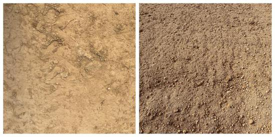 （左图为基地原有土壤，右图为改良后的土壤）