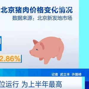 数据传递积极信号！6月份CPI同比上涨0.2% 居民消费需求持续恢复(含视频) 猪肉 数据 上涨 鸡蛋价格 生猪 猪肉价格 价格 同比上涨 蛋鸡 母猪 sina.cn 第2张