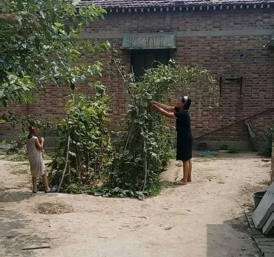 王心仪的妈妈和弟弟