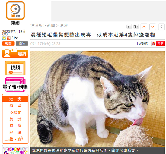 香港“东网”报道截图