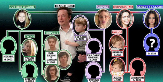 马斯克家庭关系图