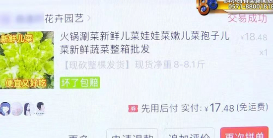 夫妻二人此前网购娃娃菜订单截图