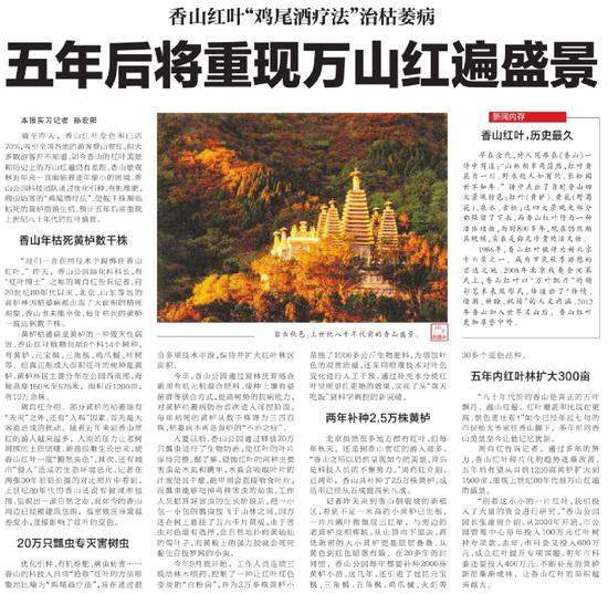 2013年10月29日北京日报的报道