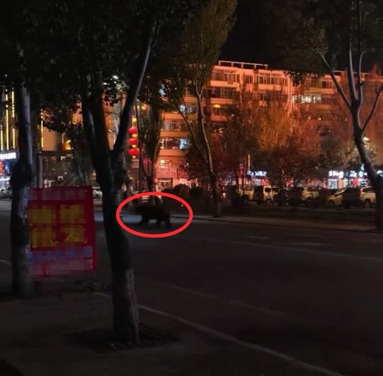 　网友拍摄视频截图