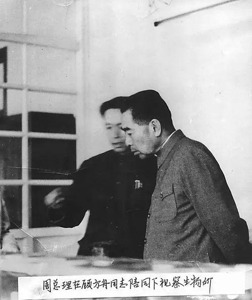 　周恩来总理在顾方舟同志陪同下视察生物所。
