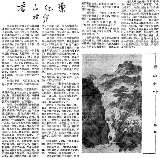 1956年秋，作家杨朔在《北京日报》上发表《香山红叶》一文
