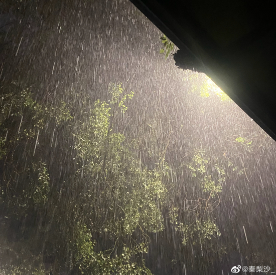 图源：新浪微博@秦梨沙