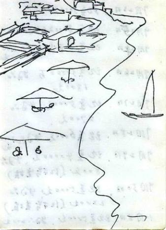 　林志清日记截图。（来源：资料图片）