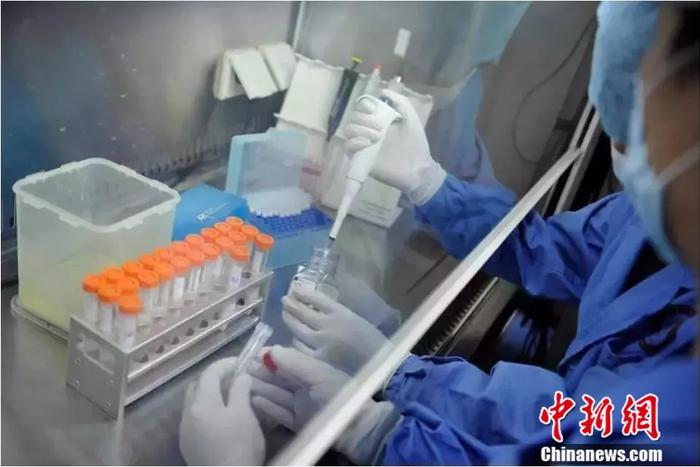 资料图:实验室中科研人员正在工作。中新社发 刘冉阳 摄
