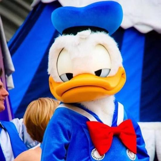  ▲迪士尼最著名的卡通人物之一：唐老鸭（Donald Duck），也名为唐纳德