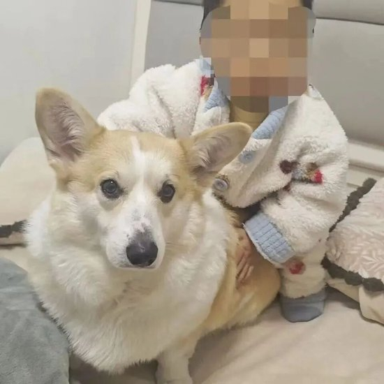 坠亡幼童父亲崔先生的微信头像