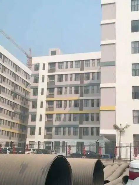  产业园内的7层办公楼。受访者供图