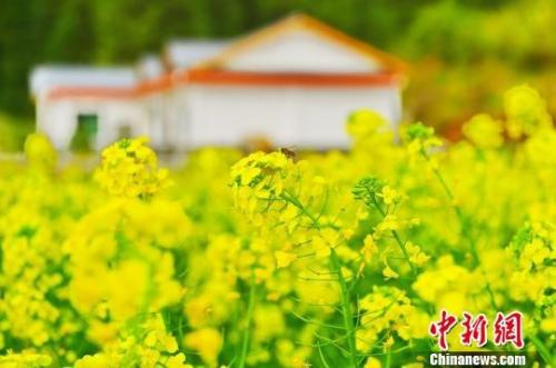 资料图。朱海鹏 摄
