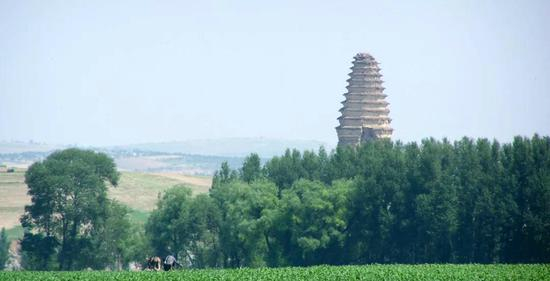 △武安州白塔 图据郎先生微信公众号