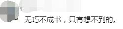 王雁飞、邓勇、刘坪
、何延政当选为四川省人大常委会副主任