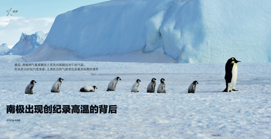 　（资料图片）南极雪丘岛上的企鹅群。图/IC