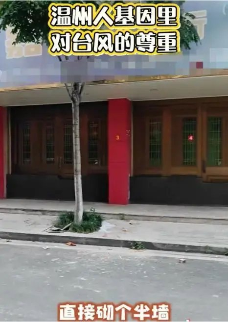 　网络视频截图